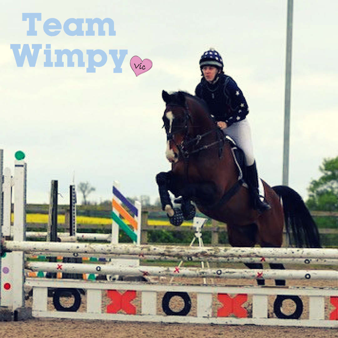 Team Wimpy Update 5: Doing it for the Wobbleberries by Becki Holmes